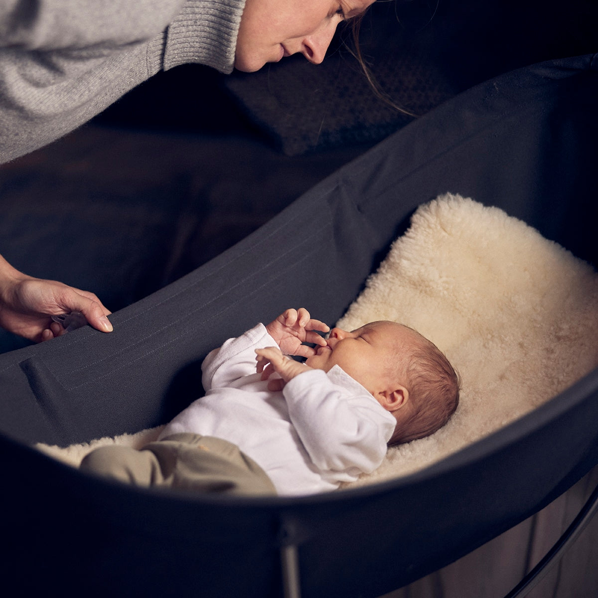 Bassinet seat module